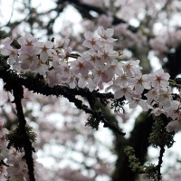 April 2